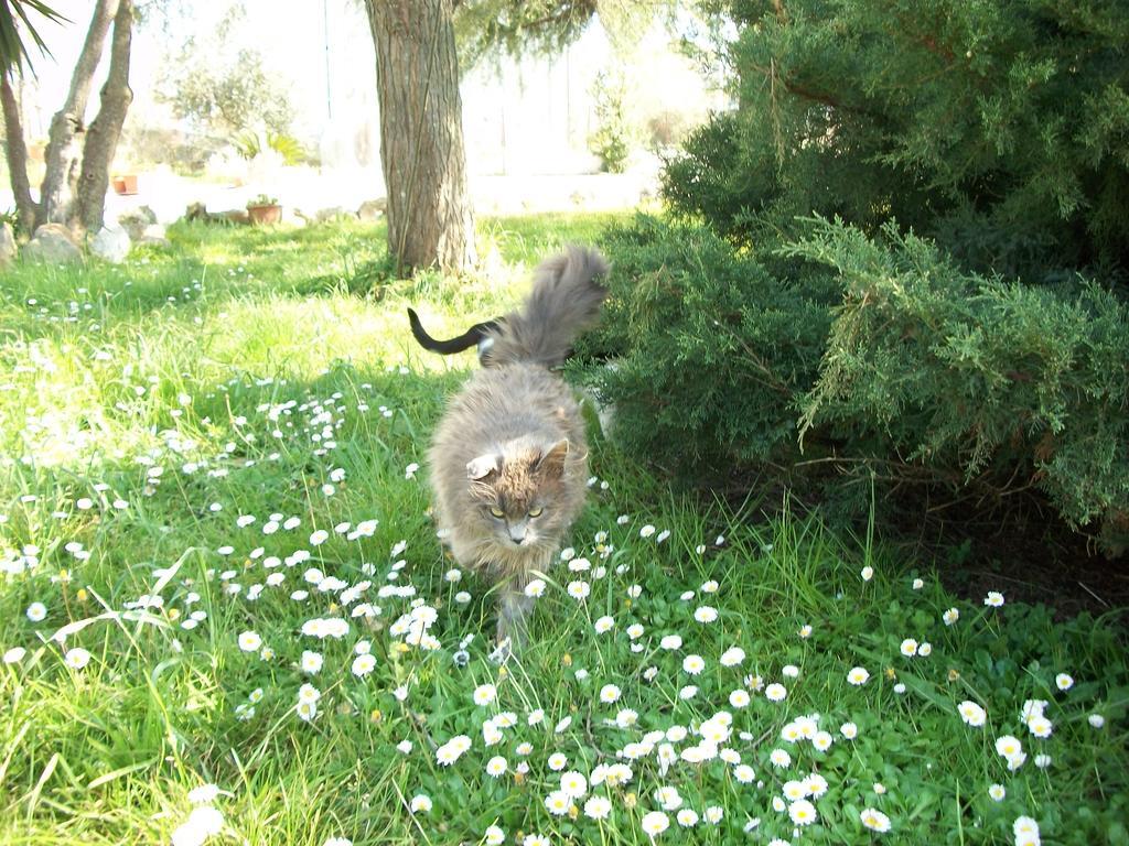 Hermada Agriturismo Primerio מראה חיצוני תמונה
